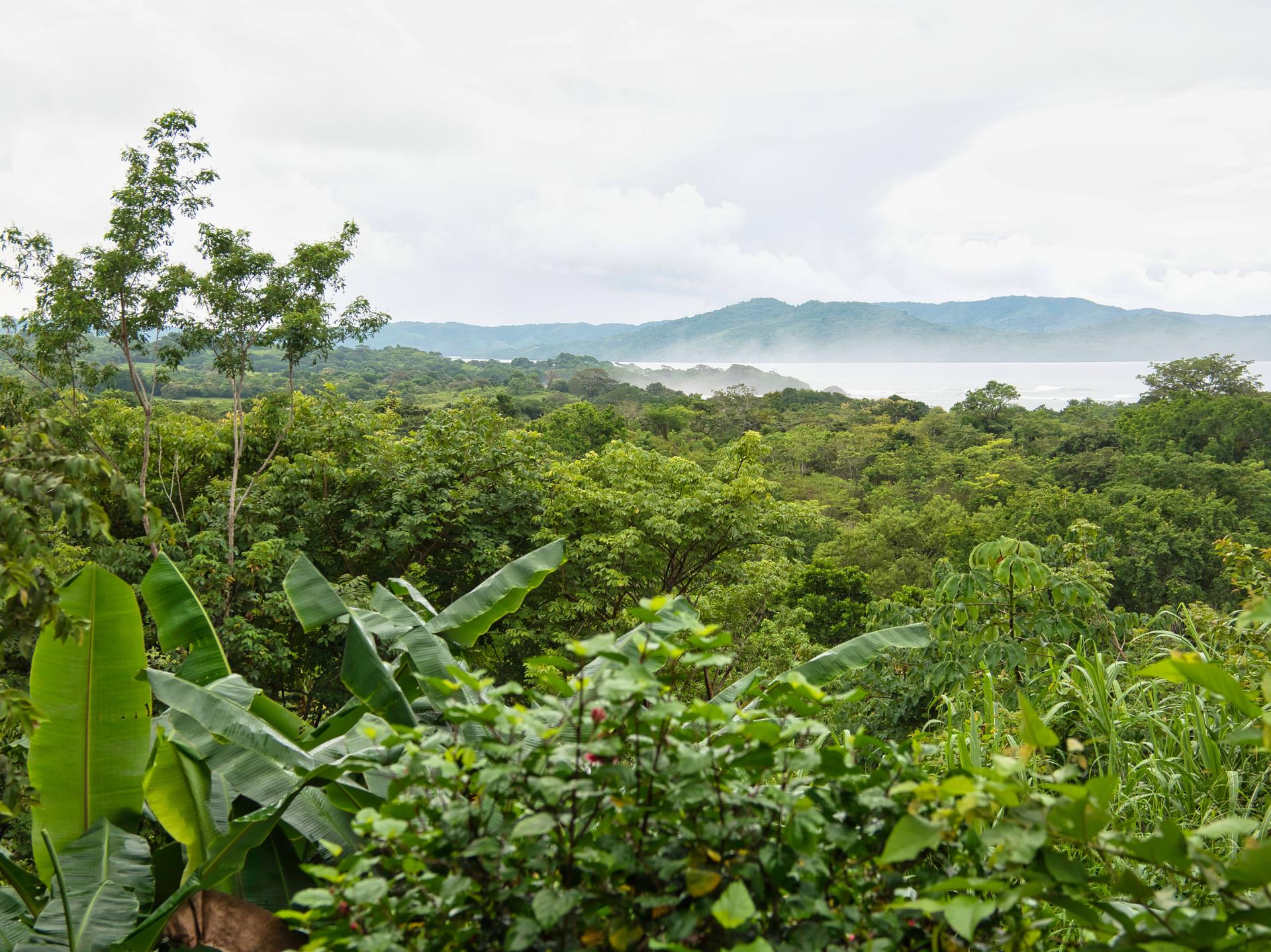 REDCARE NACHHALTIGKEIT 30 JAHRE SORGFALT FÜR PANAMA UND SEINE NATUR. 