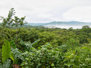 REDCARE SUSTAINABILITY: 30 YEARS OF CARE FOR PANAMA AND ITS NATURE