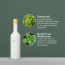 O'RIGHT TEA TREE SHAMPOO 250ML